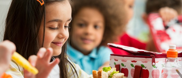 Young girl with healthy lunch